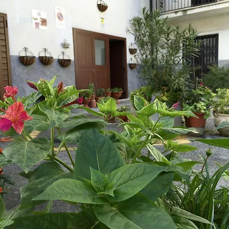 Alojamento de Acomodação e Pequeno-almoço Amores Sulmona