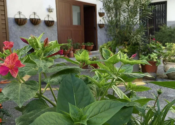 Bed & Breakfast Amores Sulmona